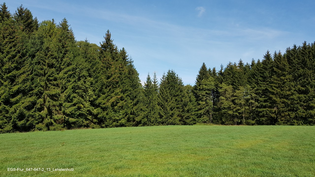 EGS-Flur_647-647-2_13_Lehstenholz.jpg